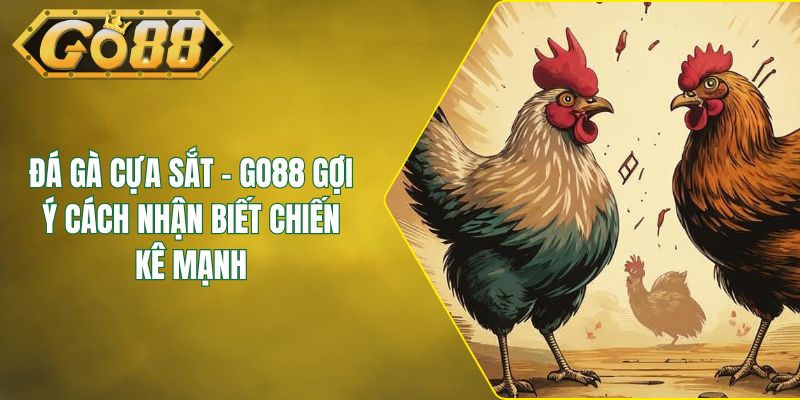 Đá Gà Cựa Sắt - GO88 Gợi Ý Cách Nhận Biết Chiến Kê Mạnh