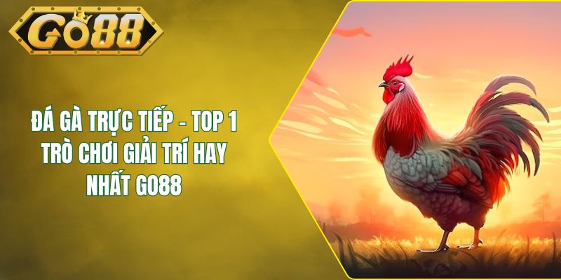 Đá Gà Trực Tiếp - TOP 1 Trò Chơi Giải Trí Hay Nhất GO88