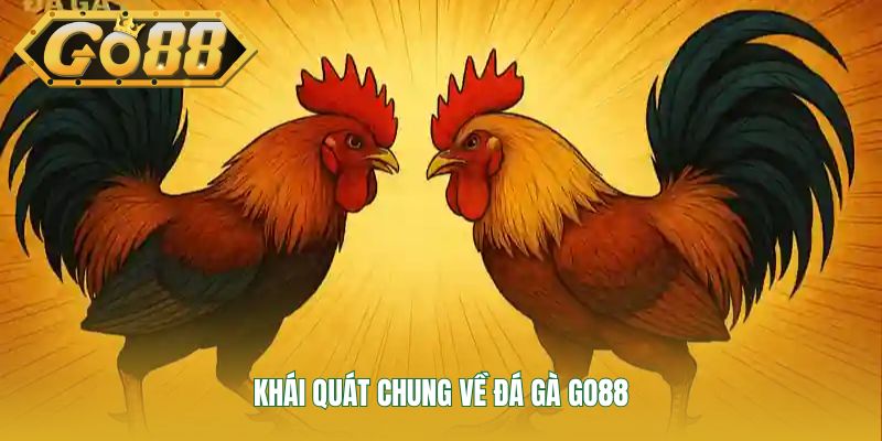 Khái quát chung về đá gà GO88