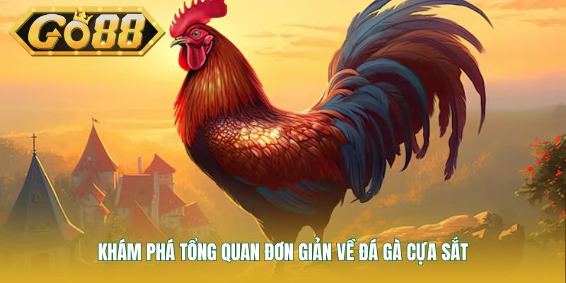Khám phá tổng quan đơn giản về đá gà cựa sắt