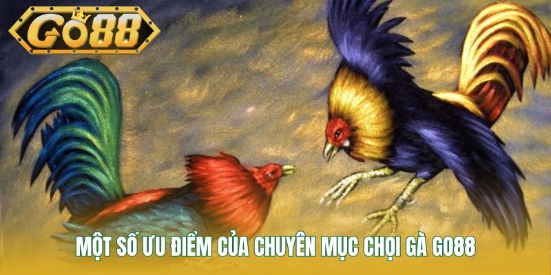 Một số ưu điểm của chuyên mục chọi gà go88