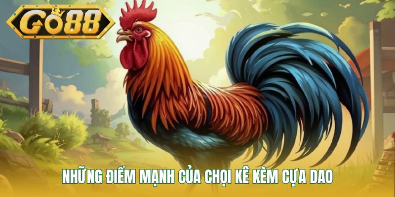Những điểm mạnh của chọi kê kèm cựa dao