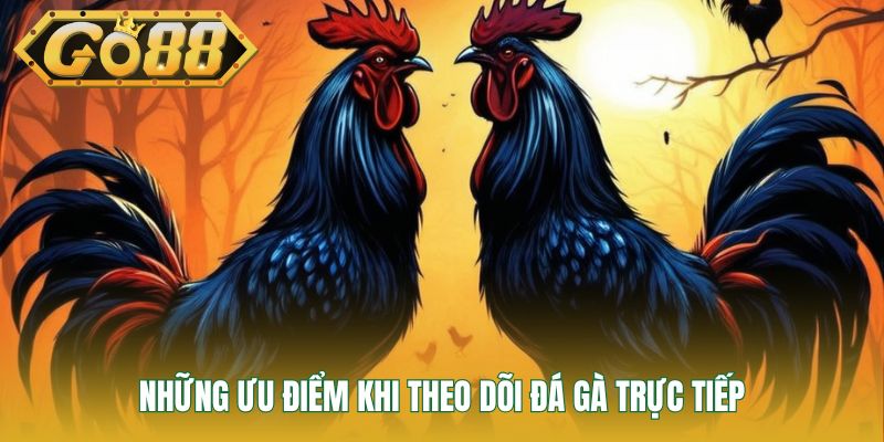 Những ưu điểm khi theo dõi đá gà trực tiếp