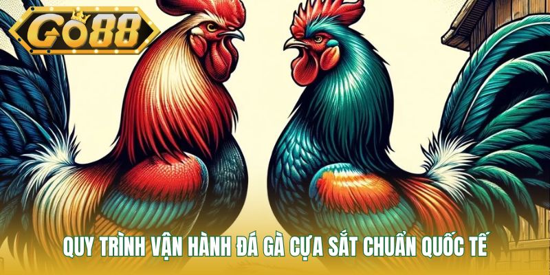  Quy trình vận hành đá gà cựa sắt chuẩn quốc tế