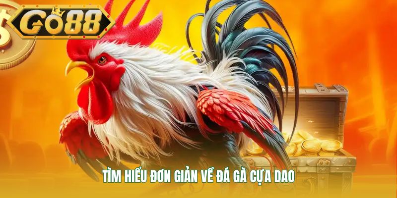 Tìm hiểu đơn giản về đá gà cựa dao