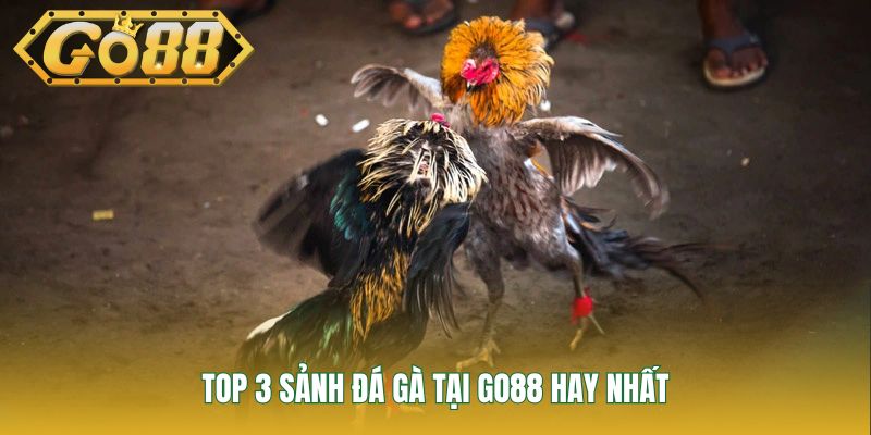 Top 3 sảnh đá gà tại GO88 hay nhất